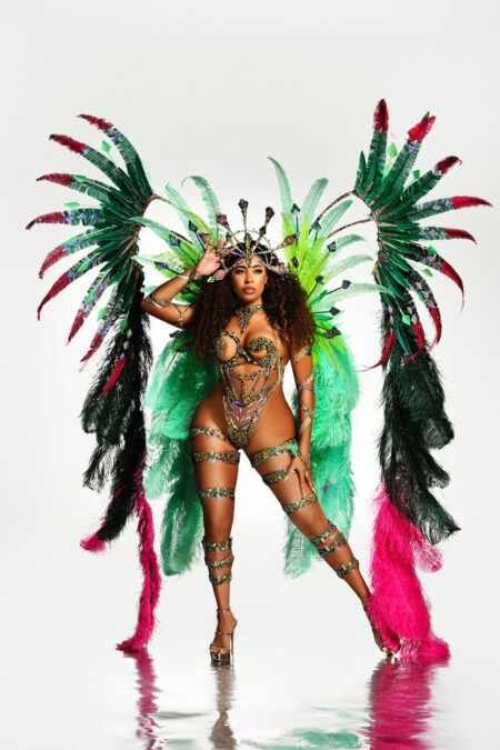 Venomous - Lux Bodywear w/ Wire Bra